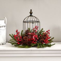 a birdcage filled with red berries and pine cones on top of a mantle