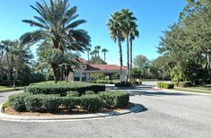 a driveway with trees and bushes around it