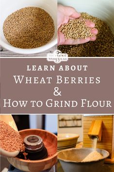 grain being milled into a bowl with the words learn about wheat berries and how to grind flour