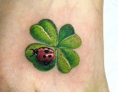 a ladybug sitting on top of a four leaf clover with a green shamrock