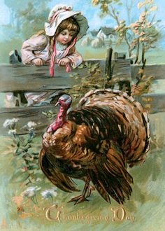 Cute Vintage Farm Girl with Thanksgiving Turkey Holiday Card Vintage Thanksgiving Greeting Cards, Vintage Thanksgiving Greetings, Vintage Thanksgiving Cards, Thanksgiving Graphics, Tom Turkey