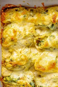 a casserole dish filled with cheese and broccoli