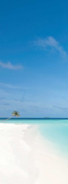 an empty beach with a lone palm tree in the distance and blue skies above it