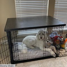 a white dog sitting in a cage on top of a floor next to a window