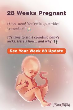 a baby is sitting on the floor with its hands clasped to his chest, and text reads 28 weeks pregnant