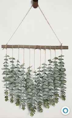 some green plants are hanging from a wooden beam on the wall and hung by rope