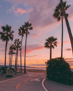 palm trees line the street as the sun sets over the ocean and beach in the background