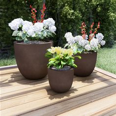 three potted plants sitting on top of a wooden deck