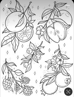 an image of fruit coloring pages