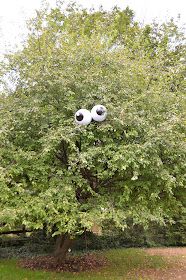 an eyeball tree with two eyes on it