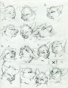 some drawings of cats with different expressions and facial expression, including the nose and head