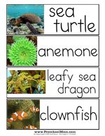 four different types of sea animals and their names