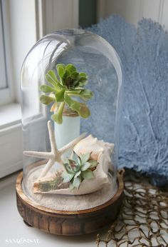 a glass clochet filled with plants on top of a table