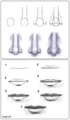 how to draw lips with pencils step by step instructions for beginners and advanced artists