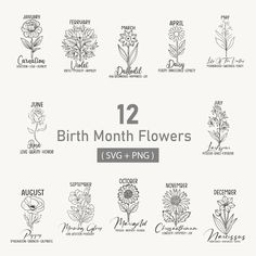 12 birth month flowers svg and png