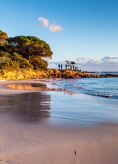 people are walking on the beach near the water and trees in the distance with blue sky