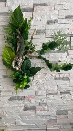 a brick wall with some green plants growing on it and a tree branch in the middle