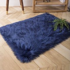 a blue rug on the floor with a plant in it