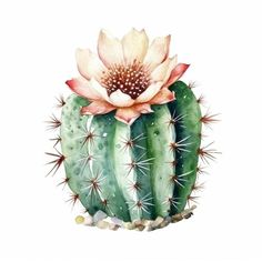 a watercolor painting of a cactus with a flower on it's back end