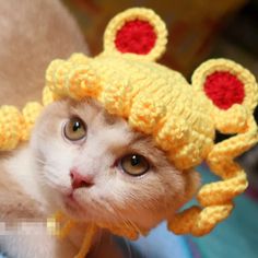 Шапочки для котиков, аниме сейлор мун Kitten Costumes, Sailor Moon Cat, Funky Hats, Moon Cat, Dog Hat