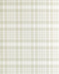 a white and green plaid background