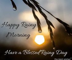 happy rainy morning have a blessed rainy day