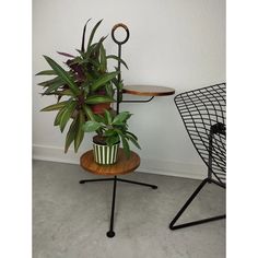 The rare and elegant plant stand from the German manufacturer Ilse Möbel has a minimalist but very stable, 82 cm high frame made of blackened round steel. The three shelves each have a diameter of 25 cm and have a plastic coating with walnut decor. I have official proof of authenticity such as vintage catalogs,   designer records,   or other literature sources and take full responsibility for any authenticity issues arising   from   misattribution Walnut Decor, Plastic Coating, Plant Stand, Cake Stand, Tripod, Walnut, 1960s, Literature, Mid Century