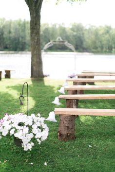 a row of wooden benches sitting on top of a lush green field next to a tree