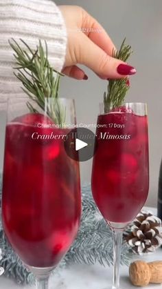 two wine glasses filled with cranberry mimoss and topped with rosemary sprigs