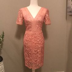 Tadashi Shoji Dresses | Tadashi Shoji Katelyn Lace Dress | Poshmark Fitted V-neck Lace Dress For Wedding Guest, Spring Formal Lace Dress With V-neck, Spring Formal V-neck Lace Dress, Vintage Black Cocktail Dress, Floral Embroidery Dress, Sequin Sheath Dress, Long Sleeve Mesh Dress, Black Crochet Dress, Beautiful Black Dresses