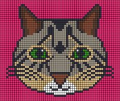 a close up of a cat's face on a pink background with green eyes