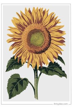 Illustration of a vibrant sunflower with green leaves. Simple Outlines