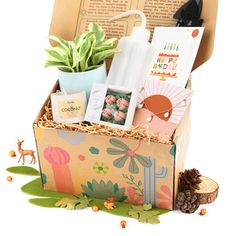 an open box with various items in it on a white surface, including books and plants