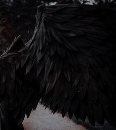 an image of a person with black wings on their head and body, looking down at the ground