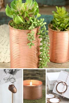 several different pictures with plants in them and candles on the table next to each other