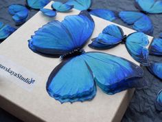 a box with blue butterflies sitting on top of it