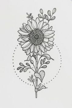 a drawing of a sunflower on a white background