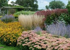 the garden is full of different types of flowers and plants, including grasses, as well as wildflowers