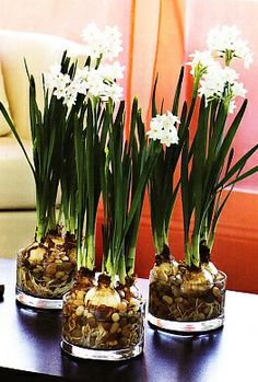 three vases with flowers and rocks in them on a table next to a couch