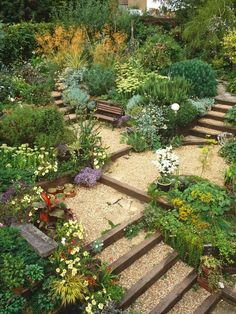 a garden filled with lots of different types of flowers and plants on top of wooden steps