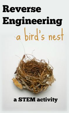 a bird's nest with the words reverse engineering a bird's nest