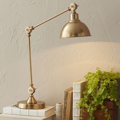 a desk lamp sitting on top of a table next to books and a potted plant