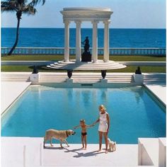 a woman and two dogs standing in front of a swimming pool with an ocean view