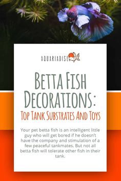 an advertisement for betta fish decorations, top tank substates and toy's