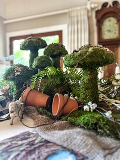 moss covered mushrooms and plants on a table