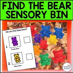 find the bear sensory bin for preschool