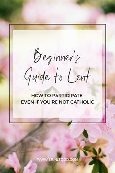 pink flowers with the text beginner's guide to lent how to participate even if you're not catholic