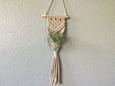 a macrame plant hanging on the wall