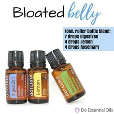 Essential Oil Blends Roller, Terra Essential Oils, Essential Oil Roller Bottle Recipes, Doterra Oils Recipes, Doterra Recipes, Roller Blends, Essential Oil Combinations, Doterra Essential Oils Recipes, Essential Oil Diffuser Blends Recipes