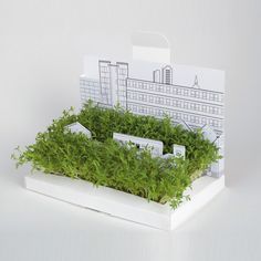 a planter with grass growing in it on top of a white box that is cut out to look like a city